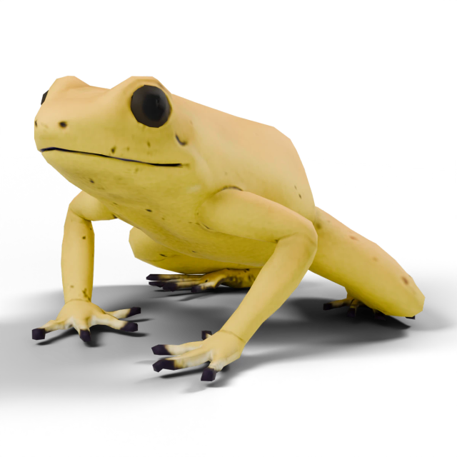 モウドクフキヤガエル