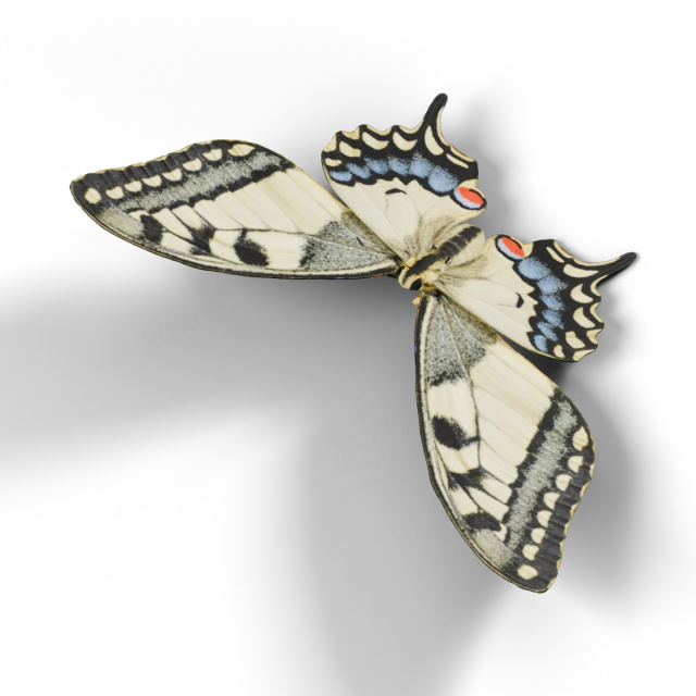 Borboleta-cauda-de-andorinha