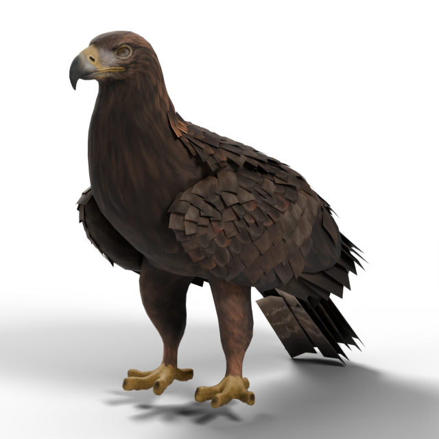 Steinadler