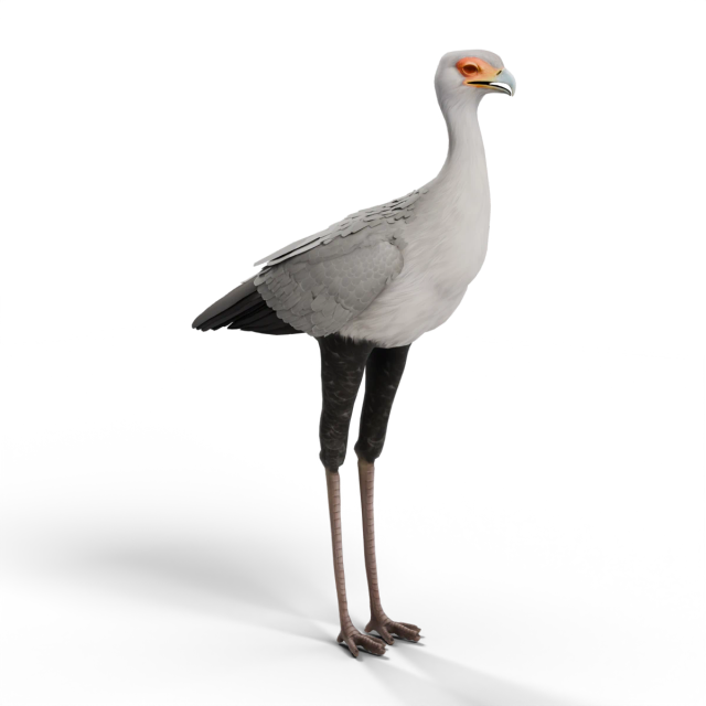 Secretario