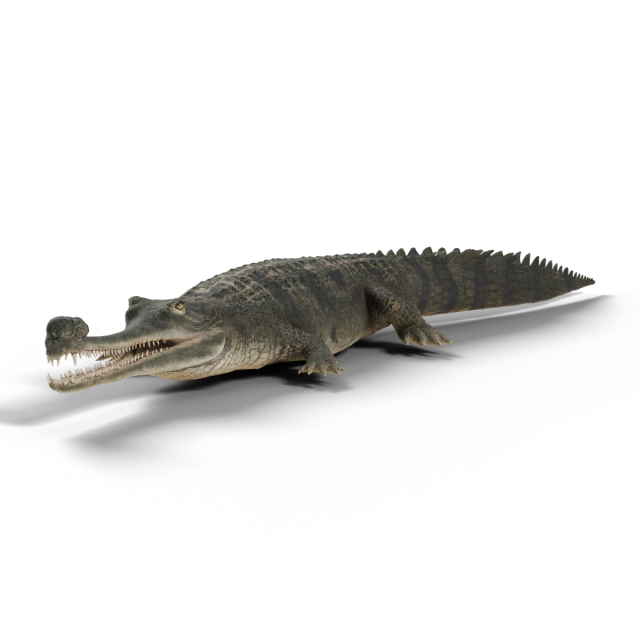 가비알