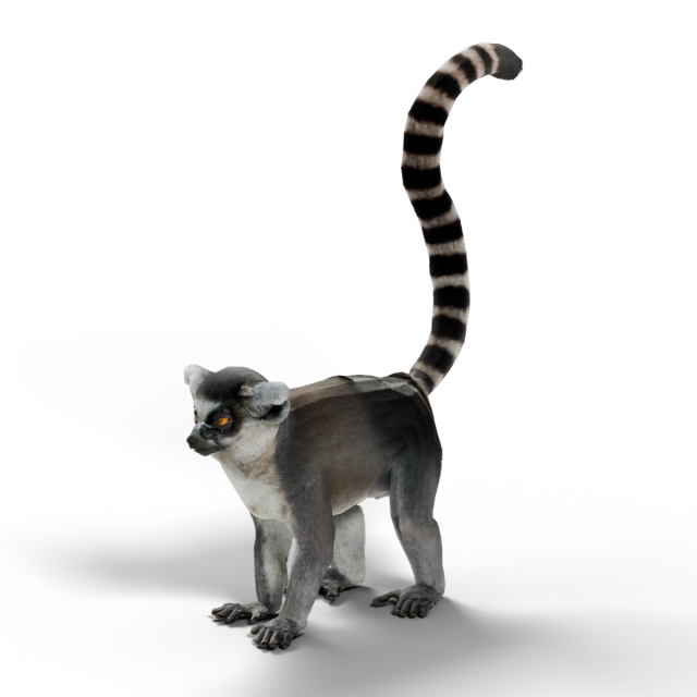 Katta