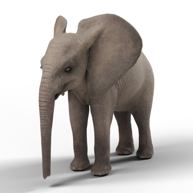 Afrikanischer Steppenelefant