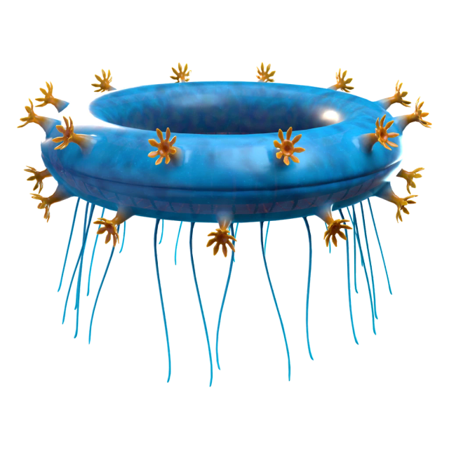 Medusa anillo