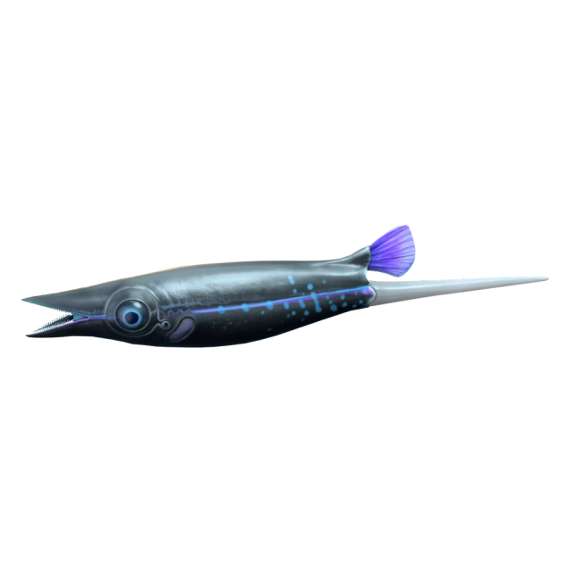Codanera