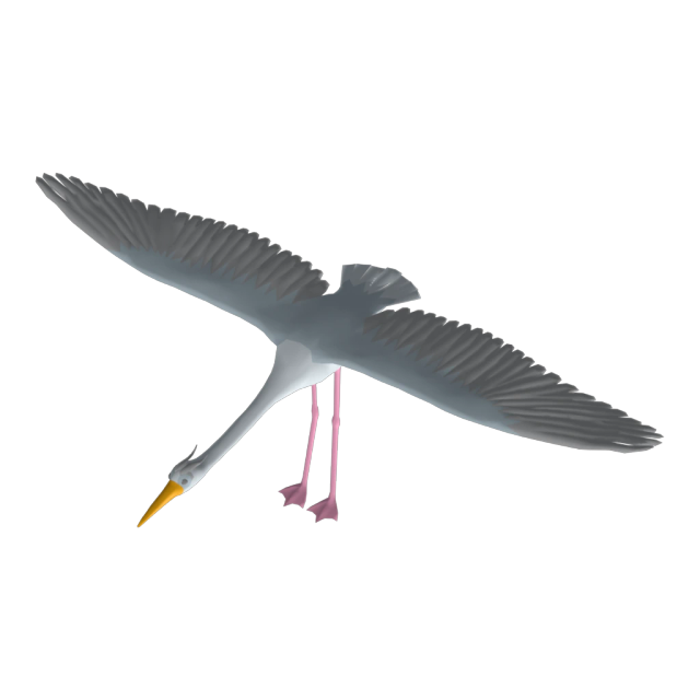 Heron