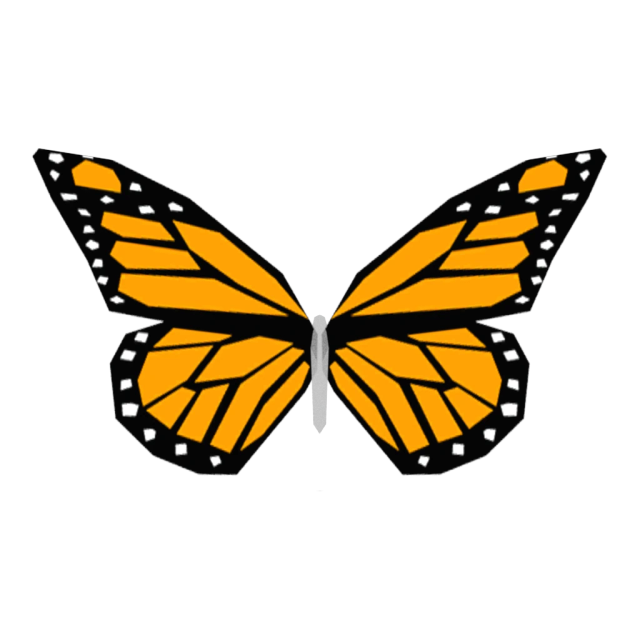 Butterflies Orange
