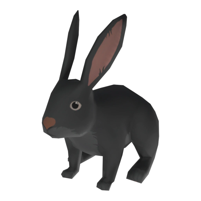 Black Rabbit