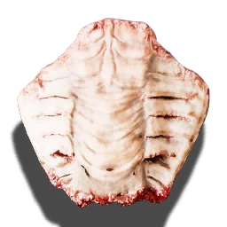 Swampshark's chitin plate