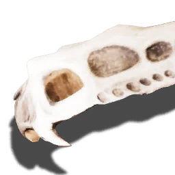 Scavenger's skull plate