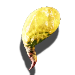 Bloodfly's poison gland
