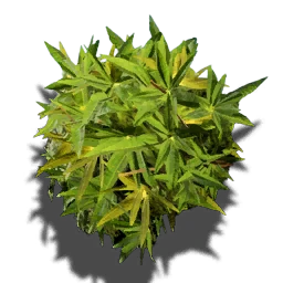 Cavern Dewleaf