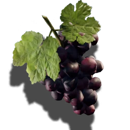 Grapes