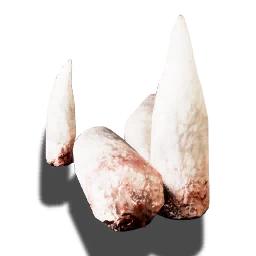 Scavenger's teeth