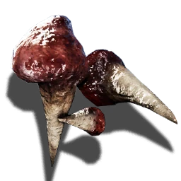 Dientes de tiburón de pantano madre