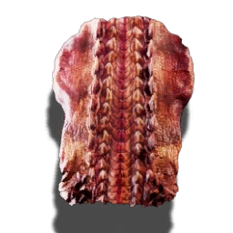 Fire Lizard's skin