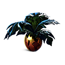 Planta melomármol