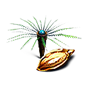 Semilla de palmera helecho
