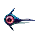 Ocular