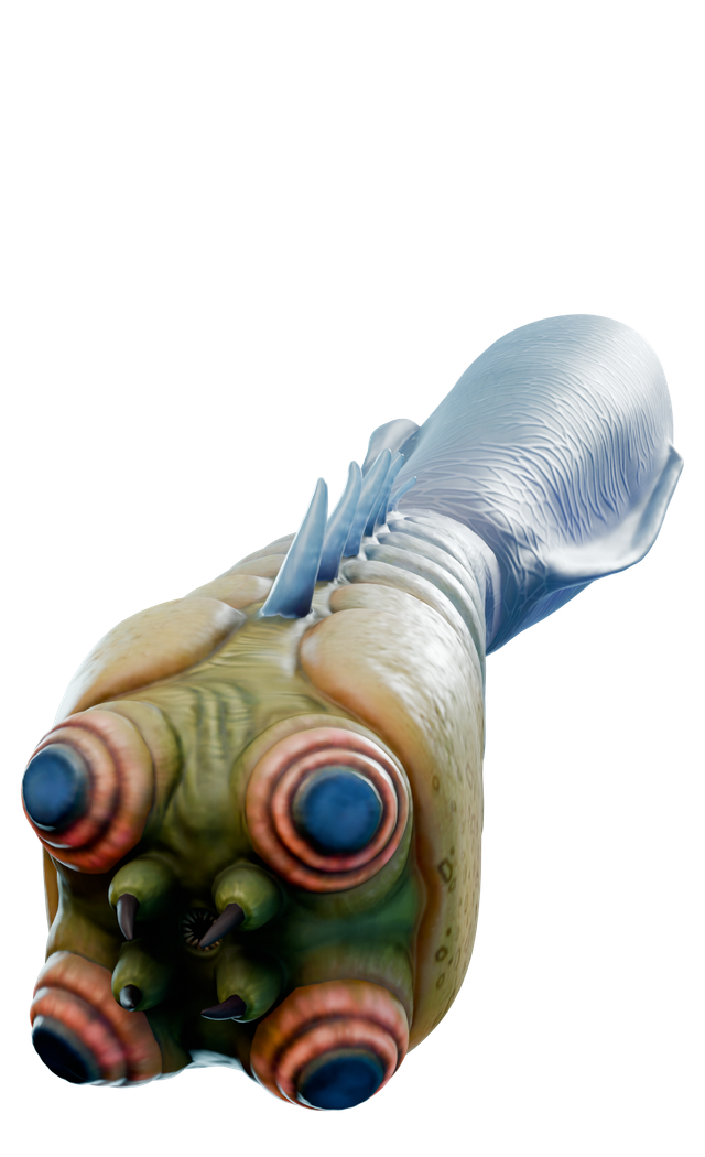 Bleeder