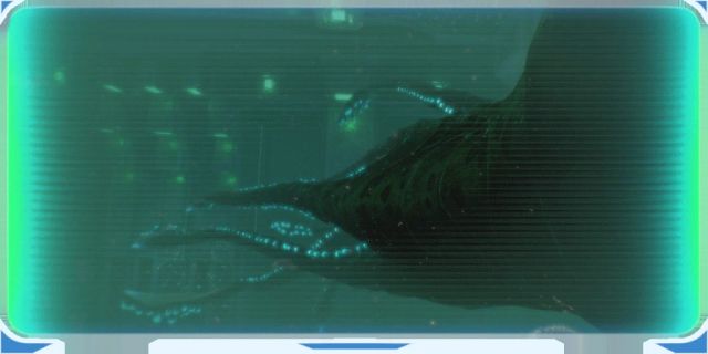 Sea Emperor Leviathan Research Data
