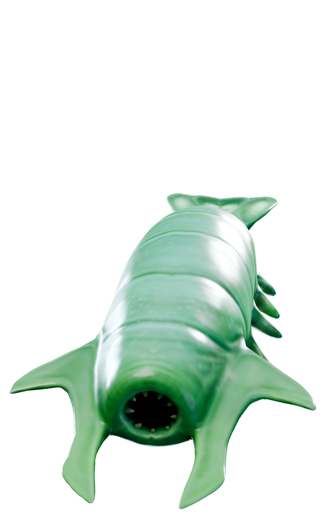 Rockgrub