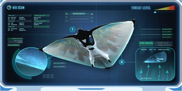 Skyray