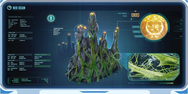 Pyrocoral