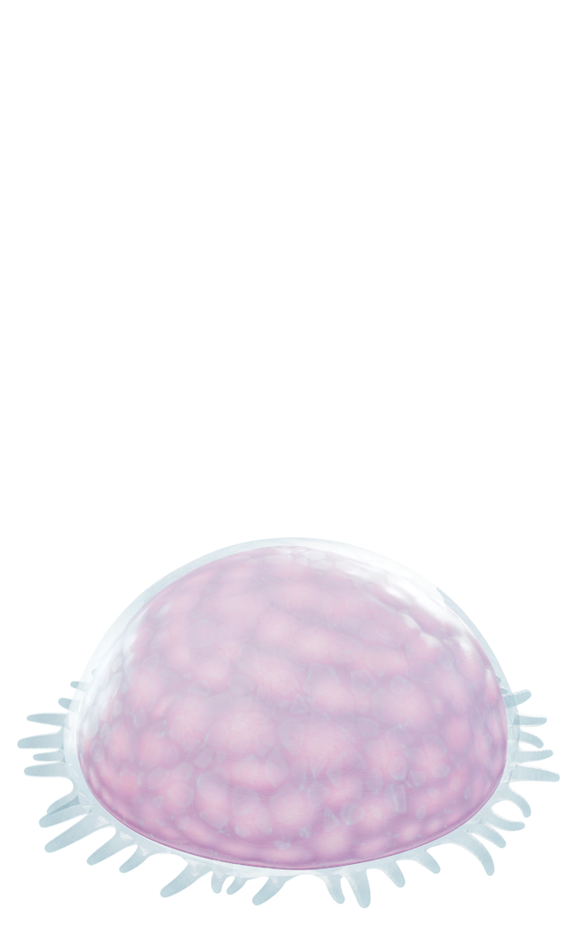 Ancient floater