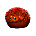 Muestra de la placa de coral