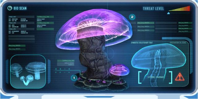 Jellyshroom