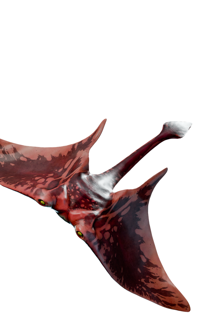 Crimson ray