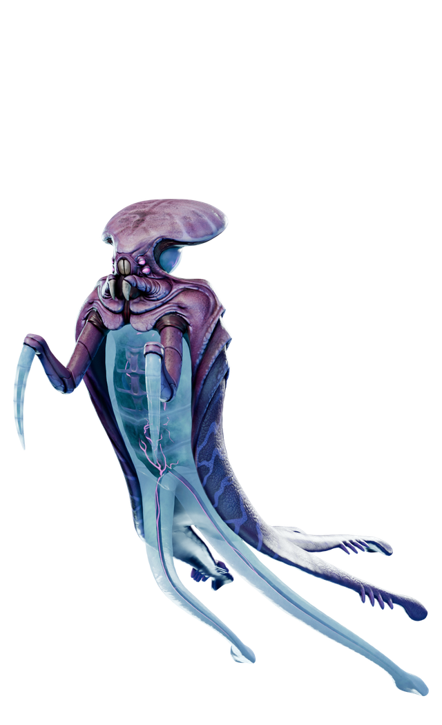 Warper