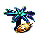 Semilla de palmera azul