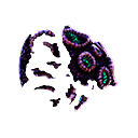 Muestra de coral cerebral