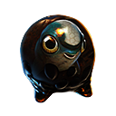 Cuddlefish egg