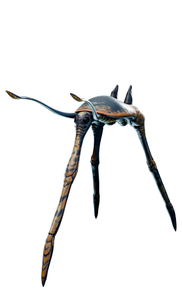 Sea treader
