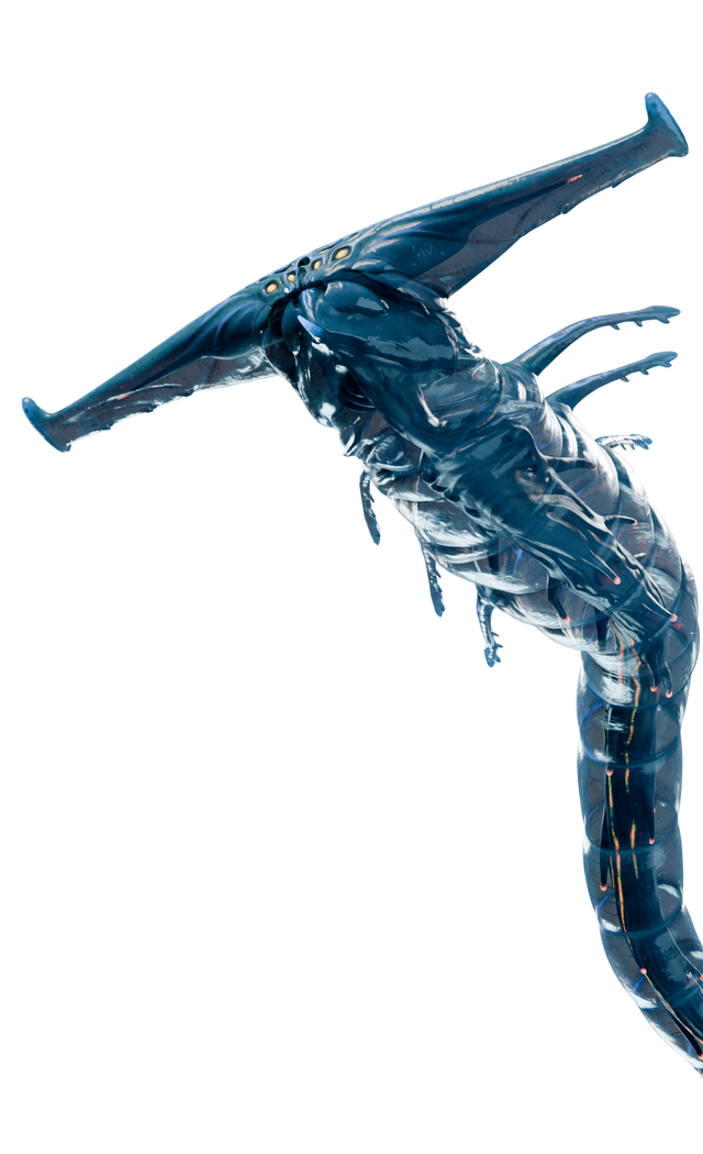 Ghost leviathan juvenile