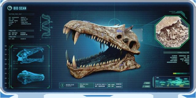 Gargantuan Fossil