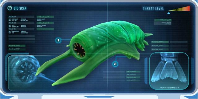 Rockgrub