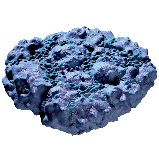 Pebbled Sporal