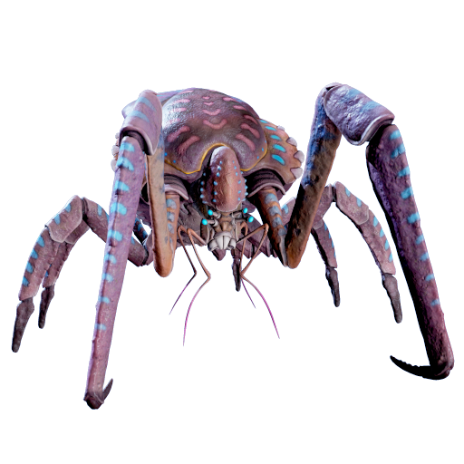 Coral Crab