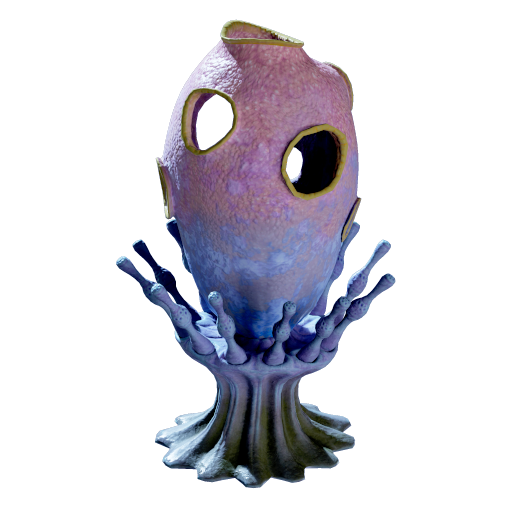 Amphora Sponge