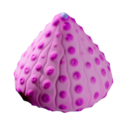 Aeroshell Sponge