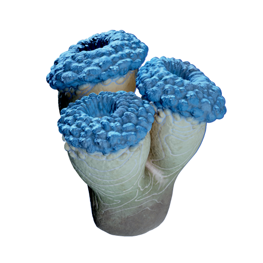 False Fission Drum