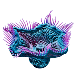 Necrolei