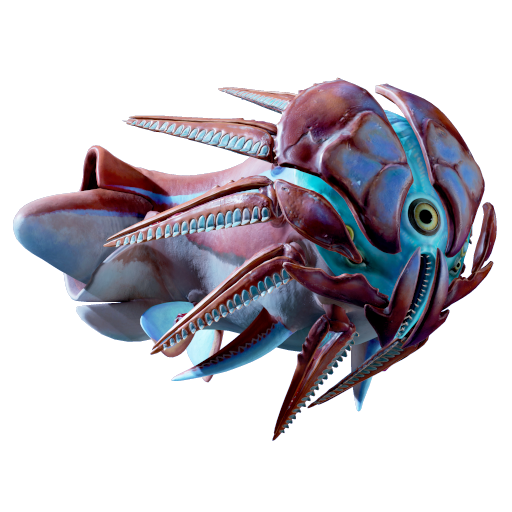 Hammerhead
