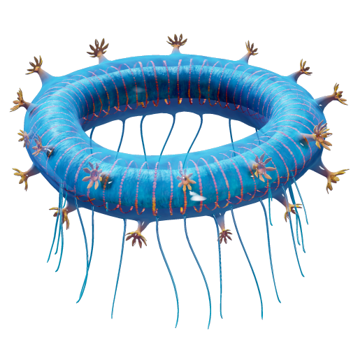 Jelly Ring