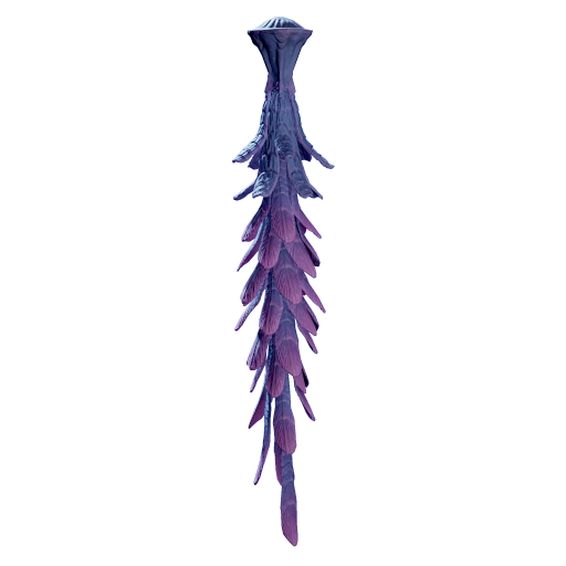Jelly Lei