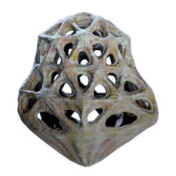 Cage Gorgon